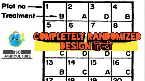 Image result for Completely Randomised Design Plot Layout