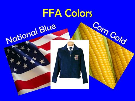 PPT - What Is FFA? PowerPoint Presentation, free download - ID:626577