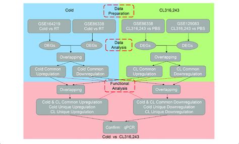 RNA Sequencing 的图像结果