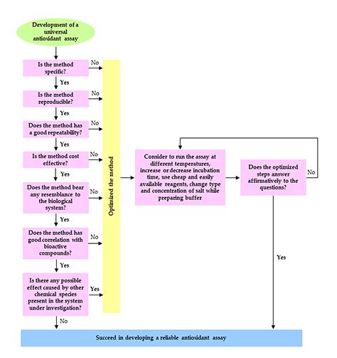The Versatility of Antioxidant Assays in Food Science and Safety ...