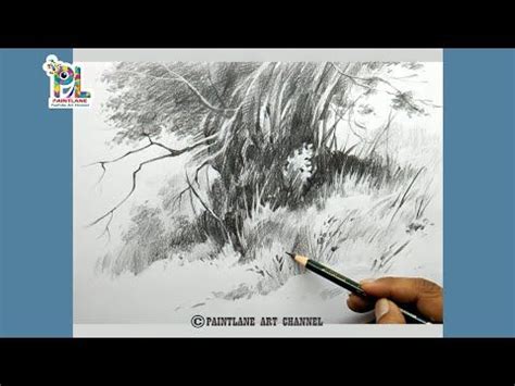 Tree Drawing Shading 的图像结果