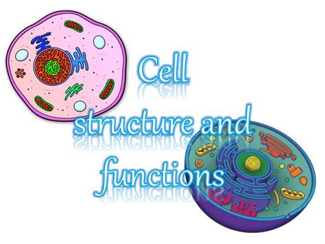 Image result for Class 8 Science Cell Structure and Function