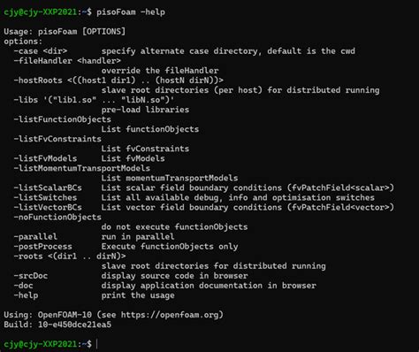 OpenFOAM Installation 的图像结果