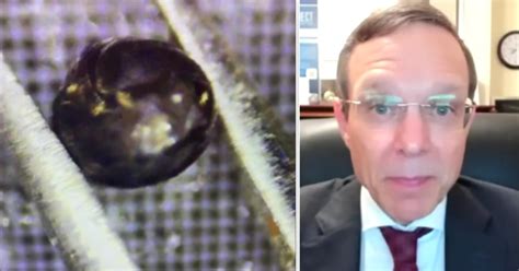 Advanced Alien Technology 的图像结果