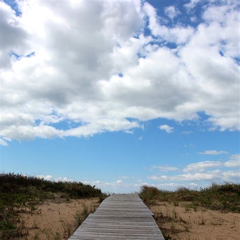 Salt Water New England: The Middle of April in Salt Water New England ...