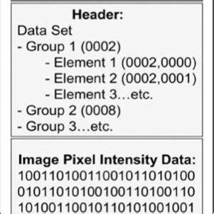 Image result for DICOM File Structure