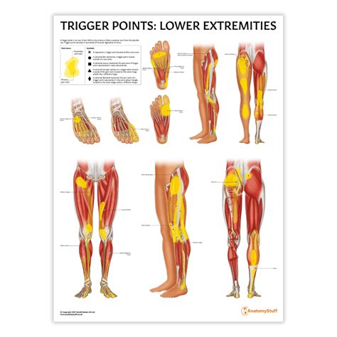 Pain Lower Extremities