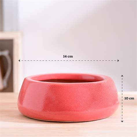 Tulip Fantasy Bundle - Light Red – Ugaoo