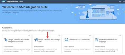 Create an API Provider System | SAP Tutorials