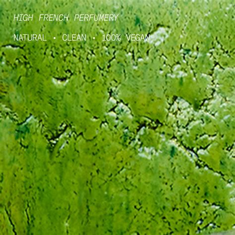 Verte Euphorie Eau De Parfum • 50ml