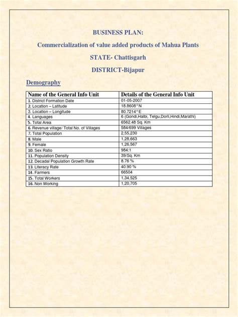 Business Plan PDF 的图像结果