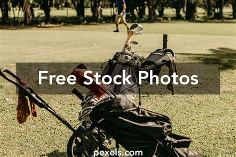 Golf Bat 的图像结果