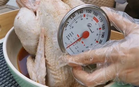 How to Insert a Meat Thermometer into a Turkey: The Right Way to Check ...