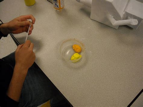 Image result for Paper Mache Tutorial