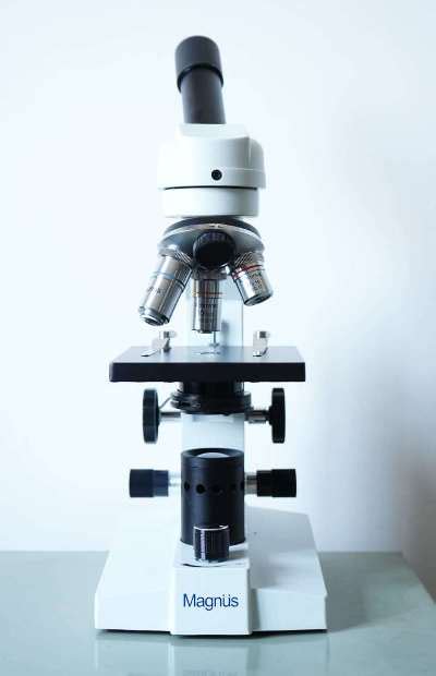 Plant Pathology Lab at IIAST – Protecting Crops from Disease