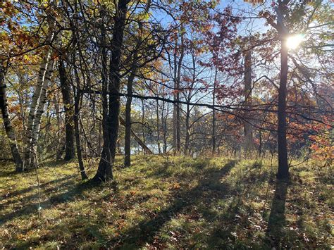 Pillager Point: Past, Present & Future — Great River Greening