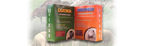 Sheep and goat mineral mixture