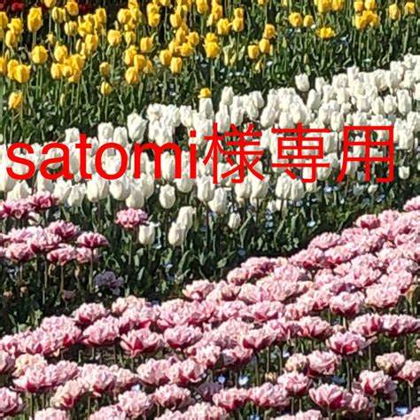 Image result for Naive Search Algorithm Time Complexity