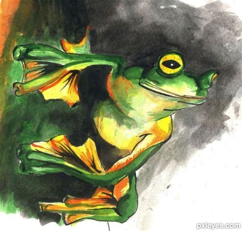 Drawing Guide - The Making Of Green frog - Pxleyes.com