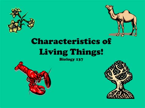 Biology Living Things 的图像结果