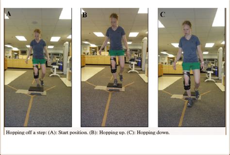 PLYOMETRIC EXERCISES | Download Scientific Diagram