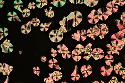 Liquid Crystal Laboratory(RRI)