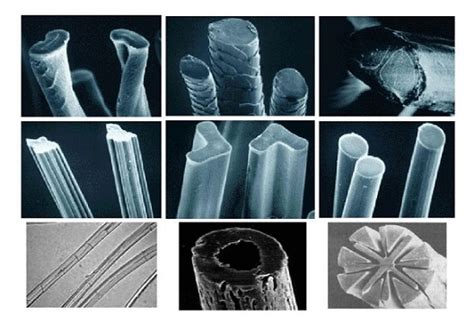 Textile Fiber Structure 的图像结果
