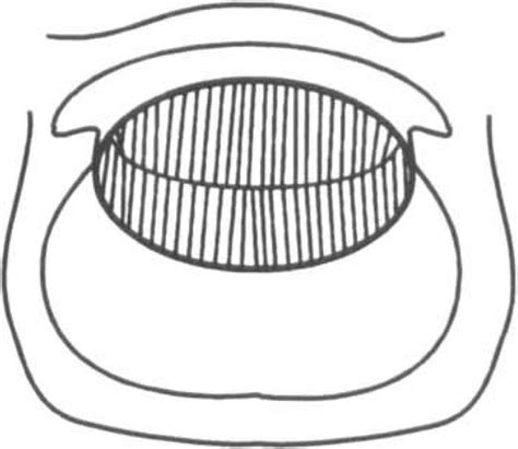 Image result for Lateral Inversion Experiment