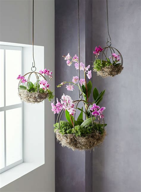 22 creative diy indoor hanging plant holders – Artofit