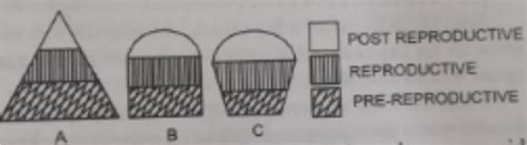 The following diagrams are the age pyramids of different populations ...