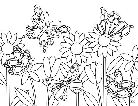 Butterfly Coloring Pages Plain