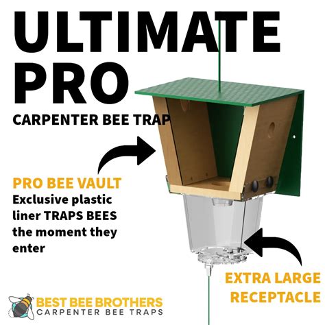 How Carpenter Bee Traps Are Making Homes Safer and More Eco-Friendly