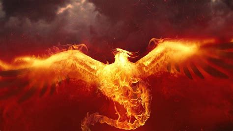 Custom Task Evaluation - Phoenix HD Wallpaper Vector Art