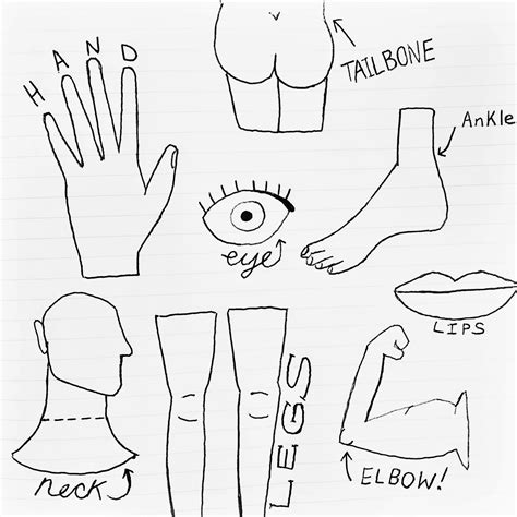 Image result for Drawing Body Parts Using Shapes