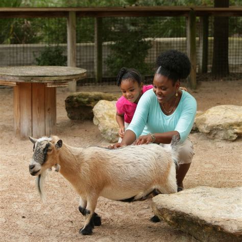 Jacksonville Zoo and Gardens | While we loved giving you a new glimpse ...