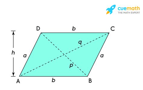 Draw A Parallelogram That Is Not A Square - Drawing Tips Guide