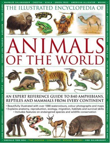 Buy The Illustrated Encyclopedia of Animals of the World: An Expert ...