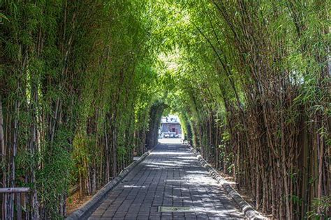 Image result for Course Line Up Examples