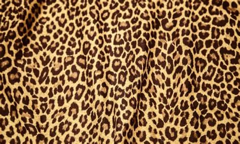 Image result for Cloth Patterns Names