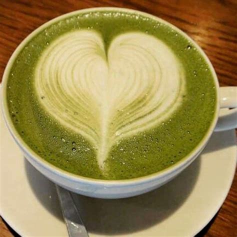 THE NEST, Indore - Restaurant Reviews, Phone Number & Photos - Tripadvisor