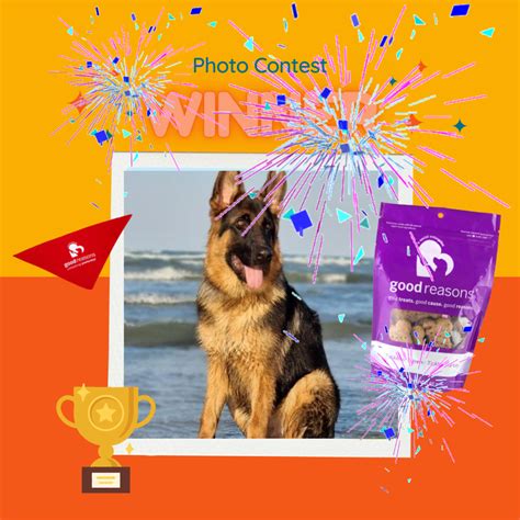 Congratulations to the Winner of Our Photo Contest! - Good Reasons Dog ...