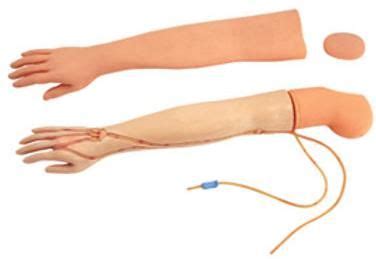 Iv Training Arm Model Exporter, Supplier from Bangalore
