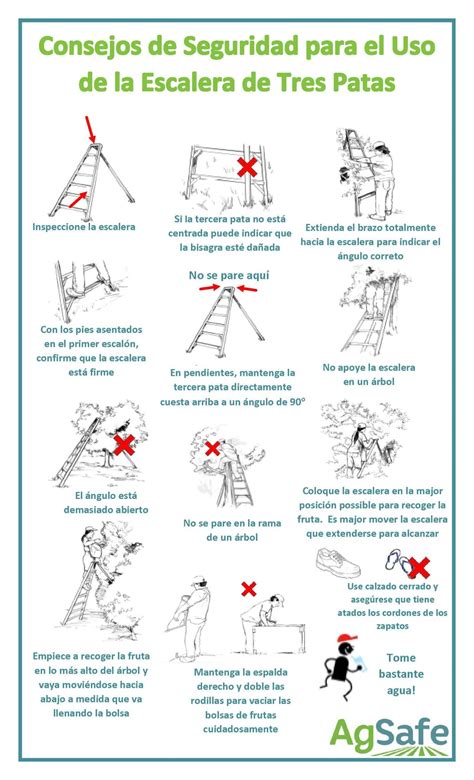 Ladder Safety Spanish at Sophia Shellshear blog