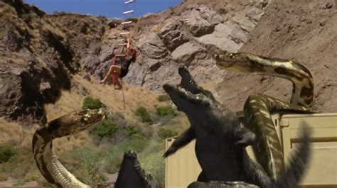 Giant Python Vs Crocodile 的图像结果