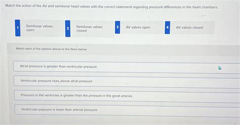 Solved Match the action of the AV and semilunar heart valves | Chegg.com