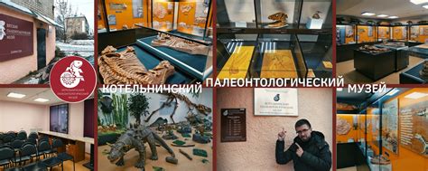 Палеонтологический музей Котельнич Киров | В городе Котельнич Кировской ...