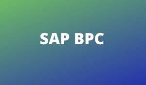 Image result for SAP BPC Tutorial