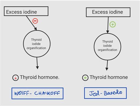 Wolff–Chaikoff effect And Jod-Basedow effect.