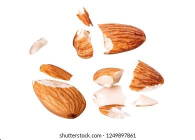 Nuts Explode 的图像结果