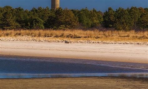 THE BEST Restaurants in Delaware (Updated January 2026)